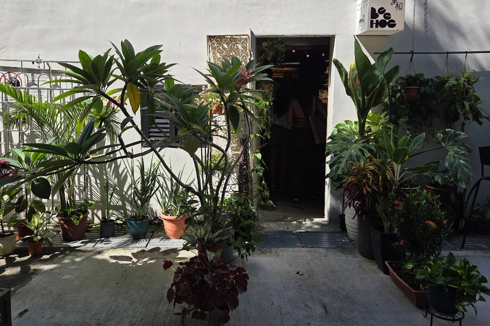 A wide, straight-on shot of the entrance to Bee Hoe Coffee, nestled in a weathered white concrete building. The doorway is framed by an abundant collection of potted tropical plants, including large frangipani trees with lush green leaves and various smaller succulents. To the right of the dark open doorway, a glowing square lightbox sign features the "Bee Hoe" logo and Chinese characters. Harsh, natural sunlight creates deep shadows across the concrete ground, highlighting the organic textures of the foliage and the decorative iron gate to the left.