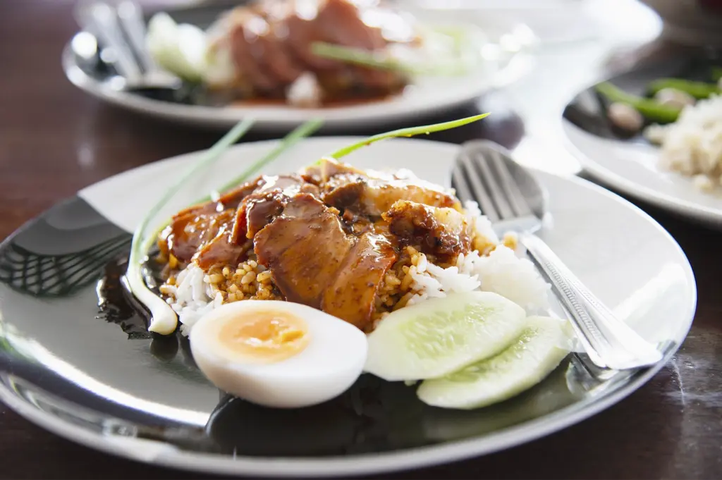 A close-up, top-down shot of a plate of roasted meat over white rice, served with a halved soft-boiled egg, sliced cucumbers, and a garnish of green onions.