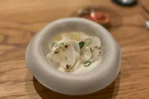 Delicately charred, paper-thin radish slices are artfully arranged over a light cream broth inside a smooth, beige ceramic bowl. Thinly sliced green chilies garnish the refined culinary dish, which rests on a natural wood table.