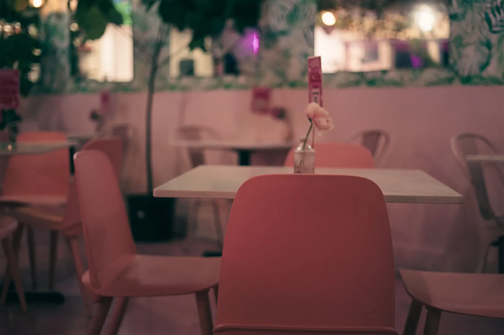 A serene, empty cafe dining space features pastel pink chairs set against white tables, with a single flower in a glass vase gracing the foreground table. Warm ambient lighting, soft pink walls, and lush green indoor foliage create a cozy, intimate atmosphere.